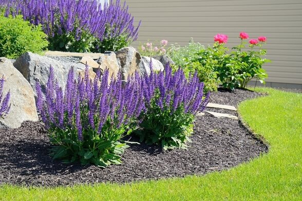 landscaping services austin area